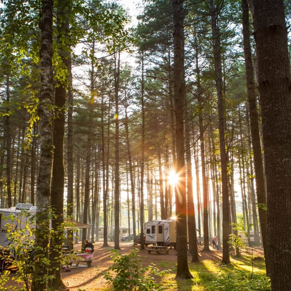 Camping Centre Touristique du Lac-Simon