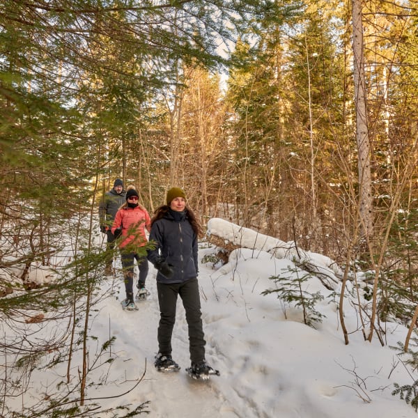 Camping du parc national de la Mauricie