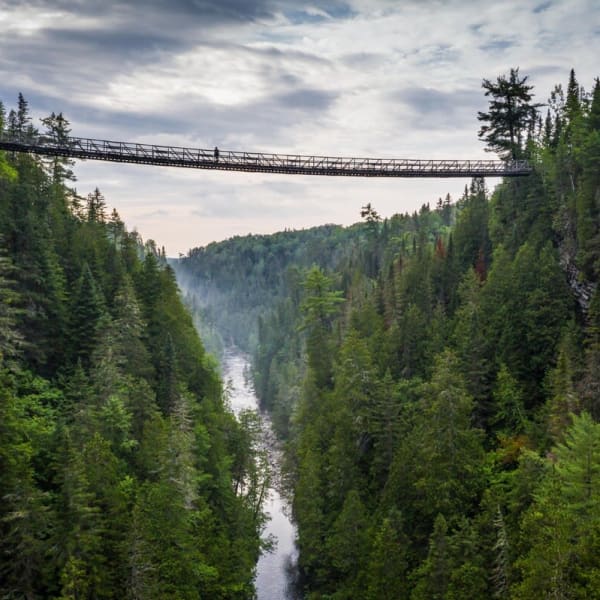 Passerelle suspendue.