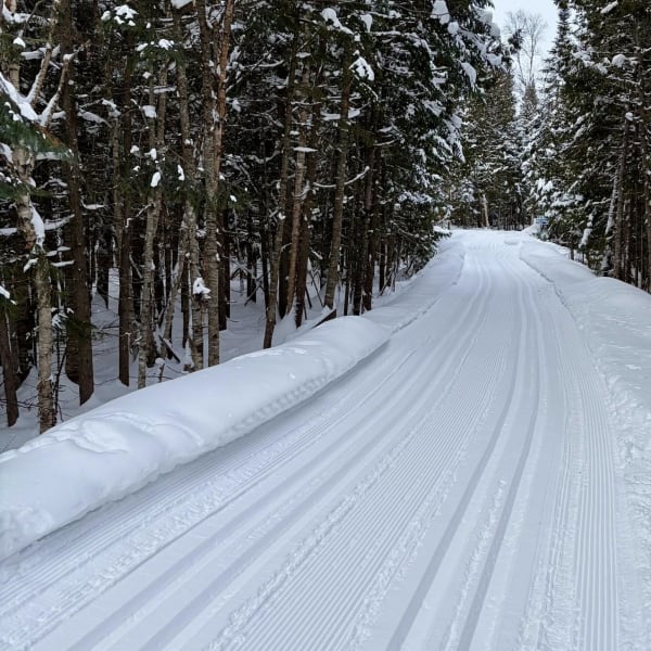 Piste de ski de fond du Centre de ski de fond et raquette d’Estérel.