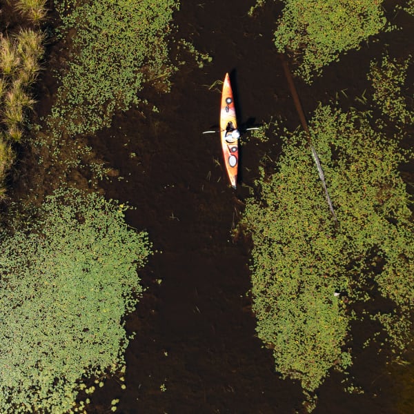 Circuit canotable des marais de la Fitzpatrick