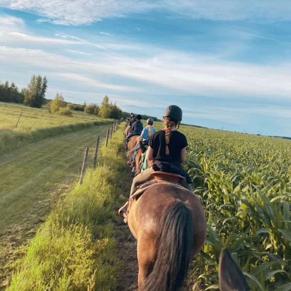 Horseback riding at Écuries 1101.