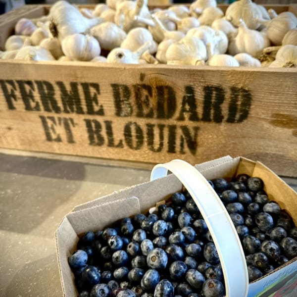 Ail et bleuets, Ferme Bédard et Blouin.