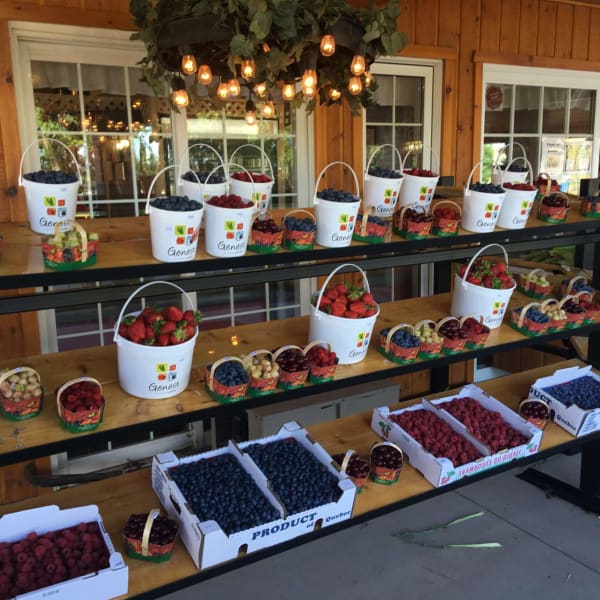 Kiosque de fraises et petits fruits, Ferme Genest.