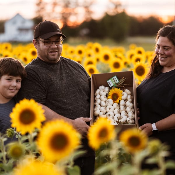 Famille de producteurs tenant de l'ail dans un champ de tournesols.