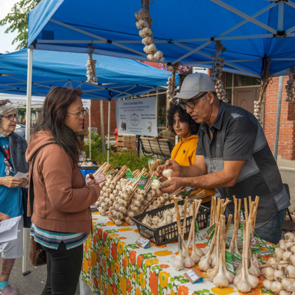 Festival de l’ail.