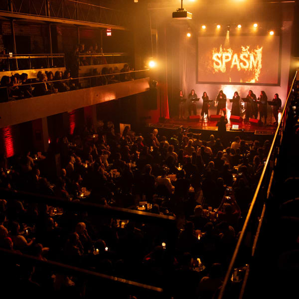 Festival SPASM