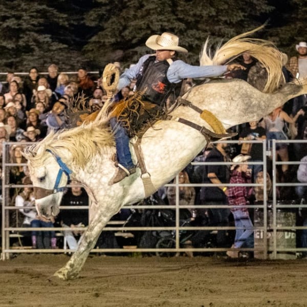 Festival Western Saint-André-Avellin : rodeo