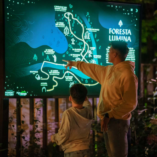 Foresta Lumina au Parc de la Gorge de Coaticook