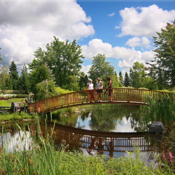 Jardin Scullion - Trois femmes sur un petite pont