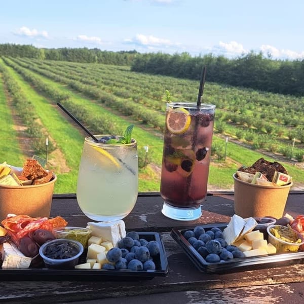 Cocktails et plateau de charcuterie avec vue sur les champs.