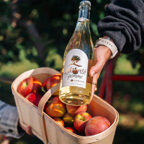 Panier de pommes et bouteille de cidre.