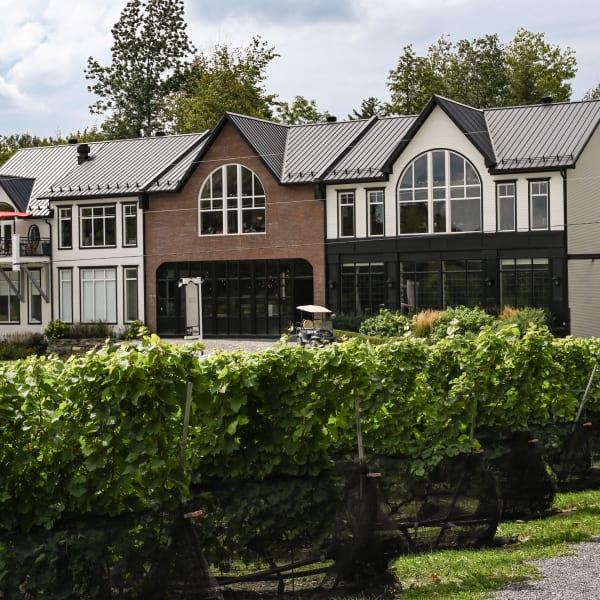 Le Vignoble du Ruisseau