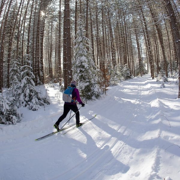 Une personne participant au Marathon Canadien de Ski.
