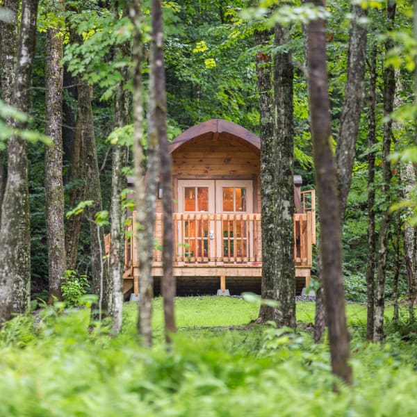 POD in summer.