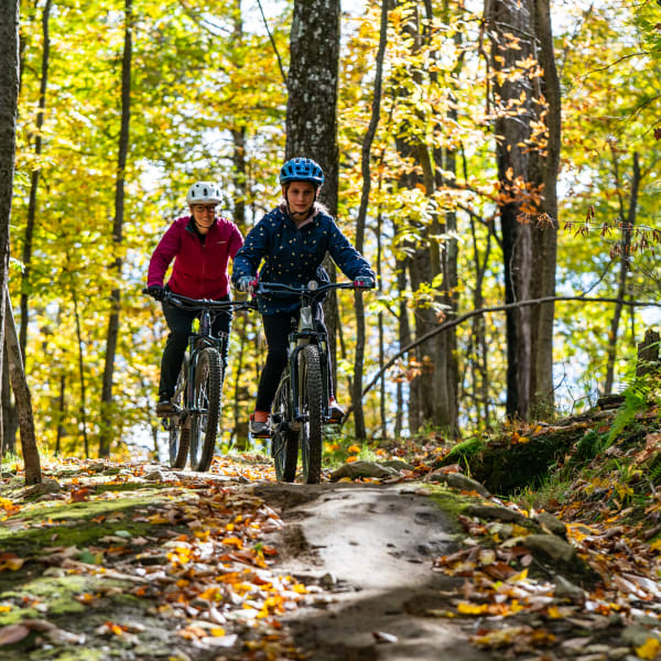 Parc vélo Sommet Saint-Sauveur