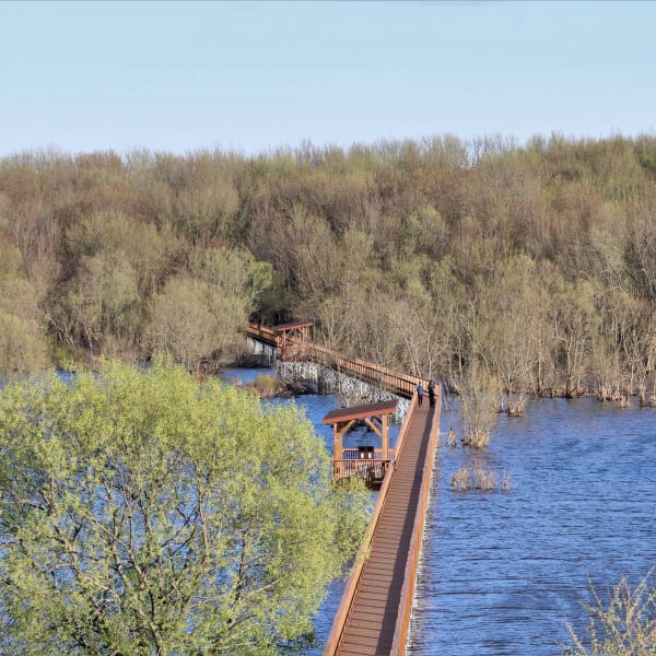 Passerelle en bois au dessus d'un plan d'eau au printemps.