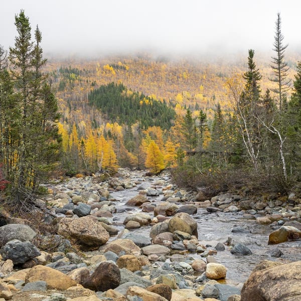 Parc national de la Gaspésie