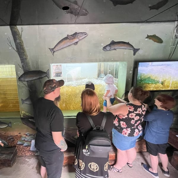 Visiteurs observant le passage à saumon.