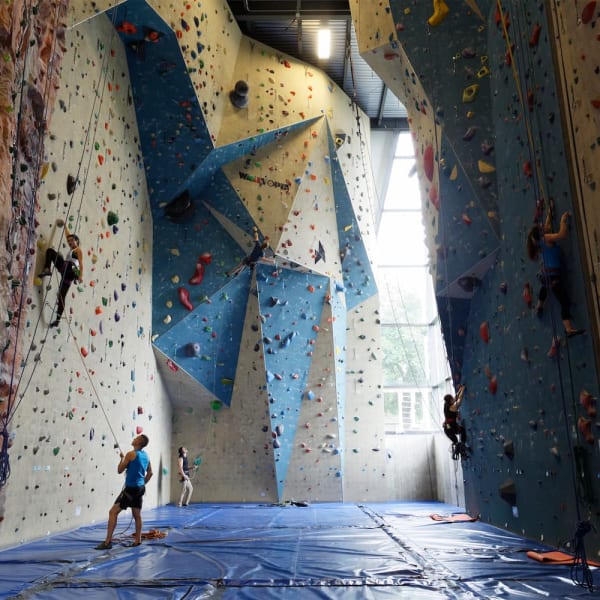 Altitude Gym