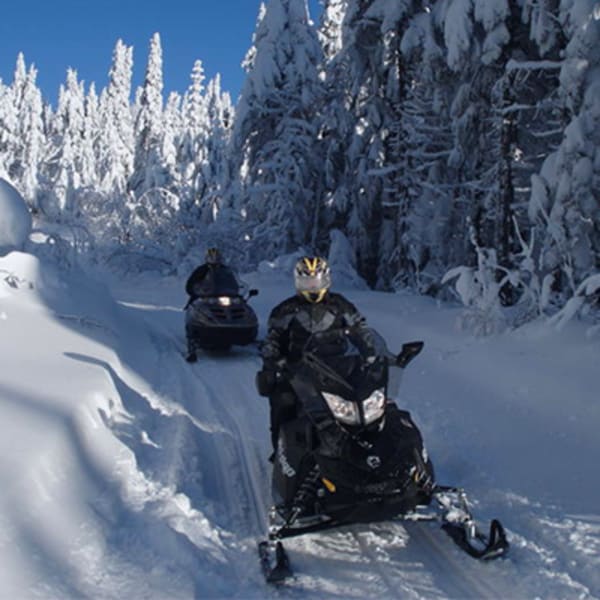 artic_aventure_1