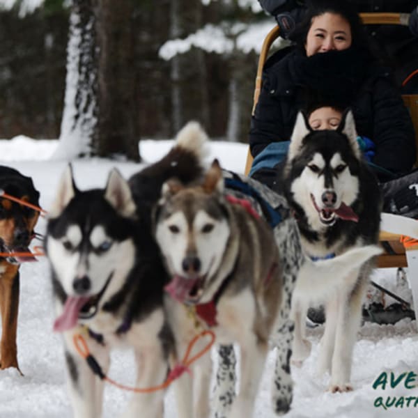 aventure_quatre_saisons_1