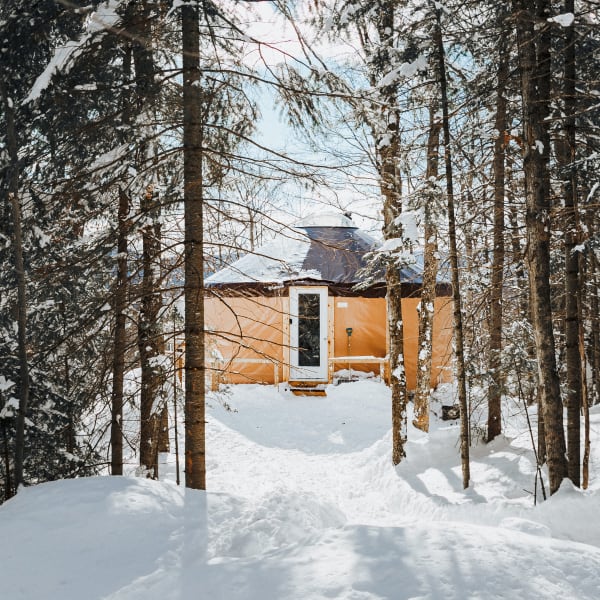 borefuge_1_h