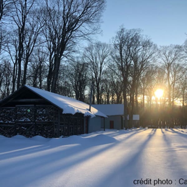 cabane_dupuis_1