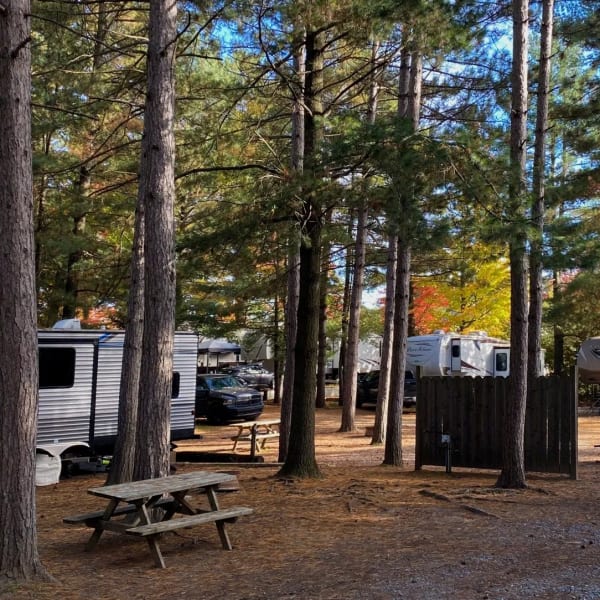 camping_ange_gardien_1