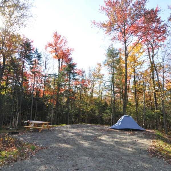 Campground at parc national du Mont-Mégantic