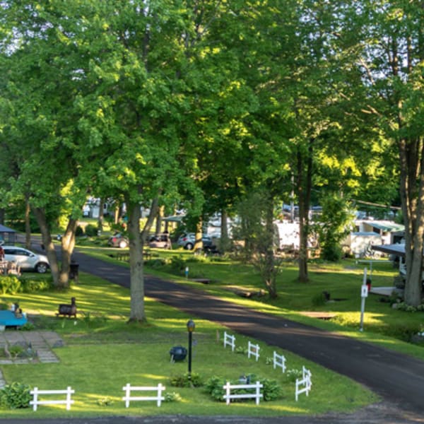 camping_horizon_1