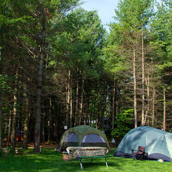 camping_la_rochelle_1