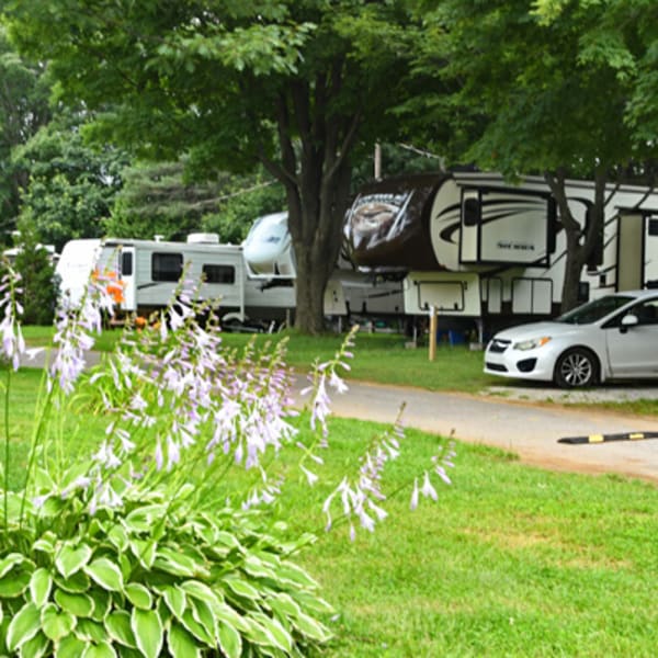 Camping Lac Saint-Michel