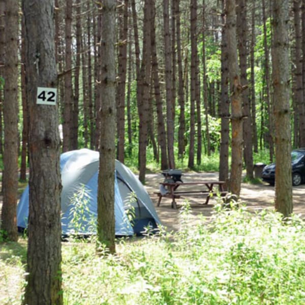 camping_le_fou_du_roi_1