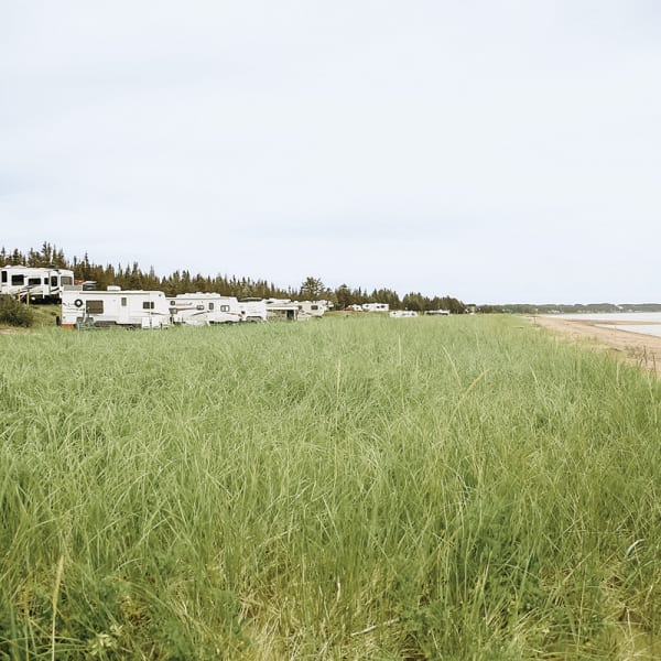 camping_municipal_havre_saint_pierre_1