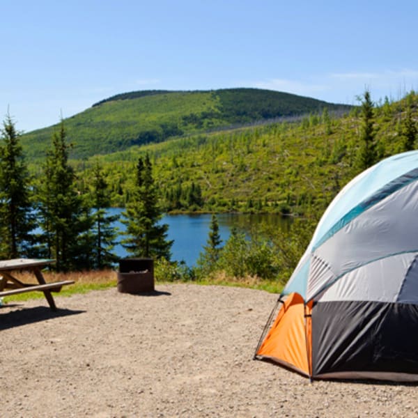 Camping du parc national des Grands-Jardins