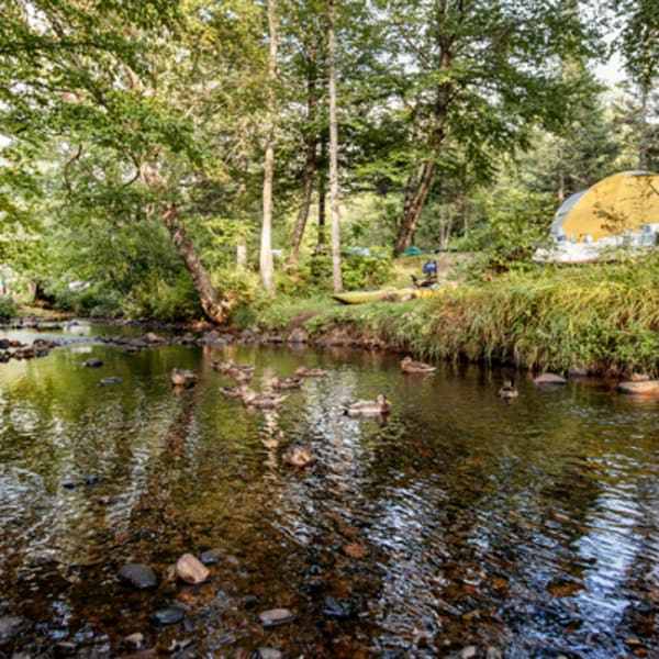 camping_stoneham_1