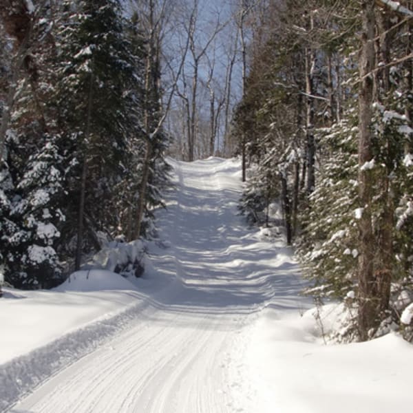 centre_de_ski_de_fond_de_lesterel_hors_limite_1_h