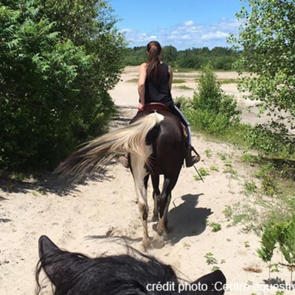 centre_dequitation_ranch_chez_real_1