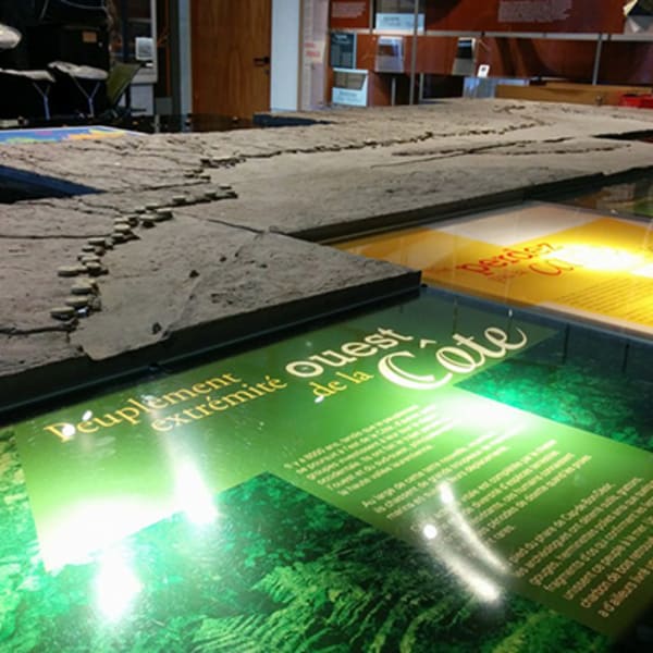 centre_dinterpretation_archeo_topo_1