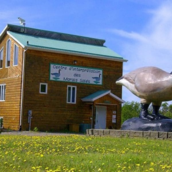 centre_dinterpretation_des_marais_sales_1