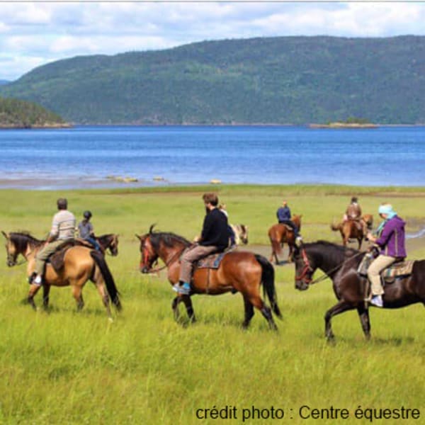 centre_equestre_des_plateaux_1
