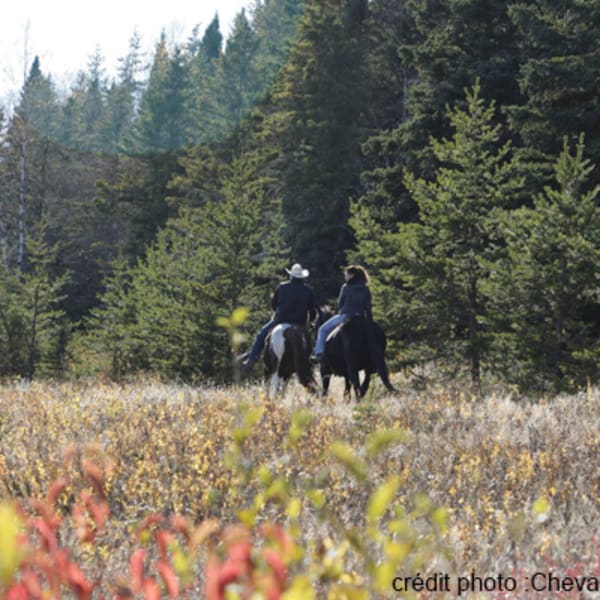 centre_equestre_nature_enr_1