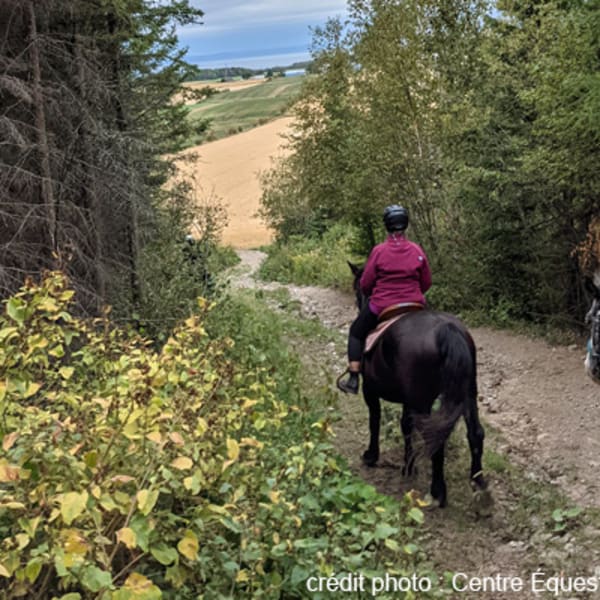 centre_equestre_saint_eloi_1