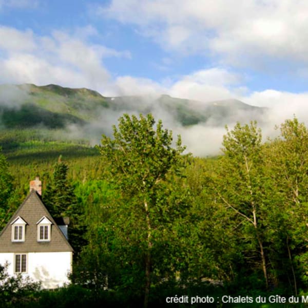 Gîte du Mont-Albert Cabins