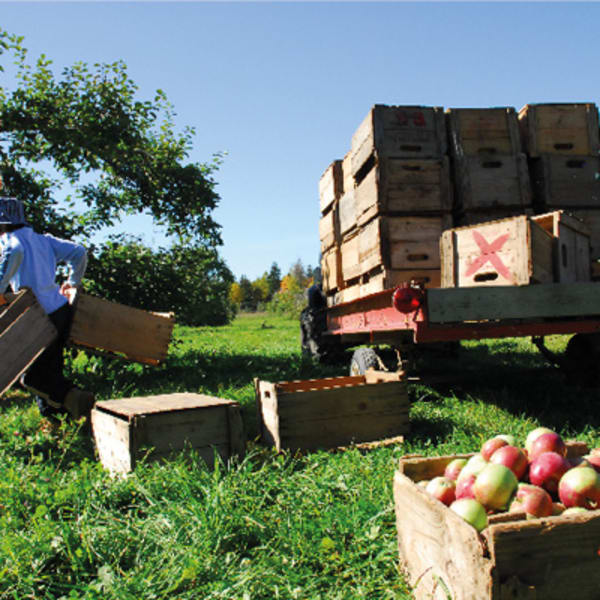 cidrerie_verger_pedneault___economusee_de_la_pomiculture_1