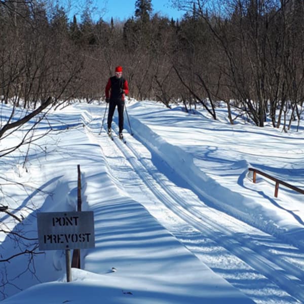 club_de_ski_de_fond_thetford_mines_1_h