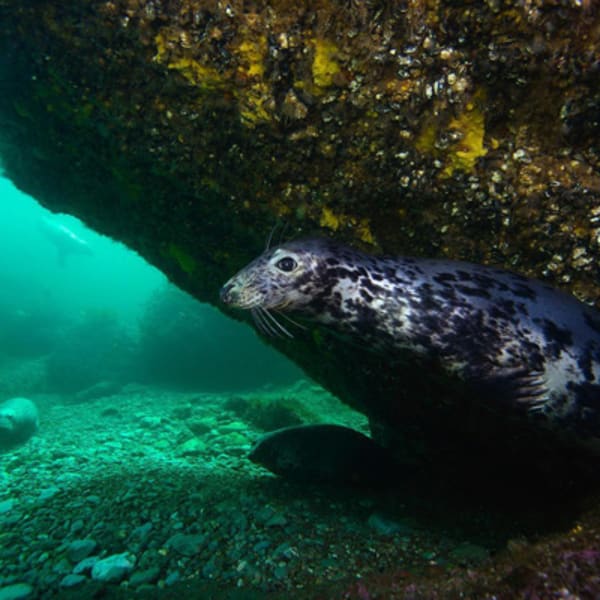club_nautique_de_perce_1