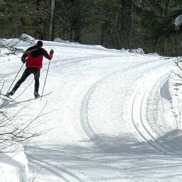 club_perce_neige_de_begin_1_h