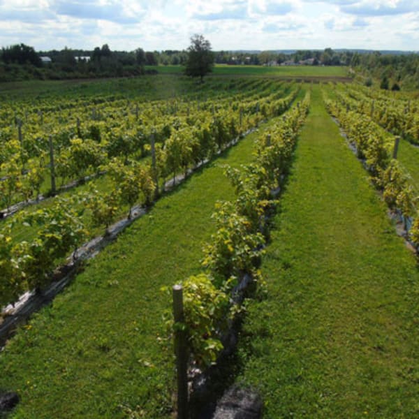 domaine_small_1